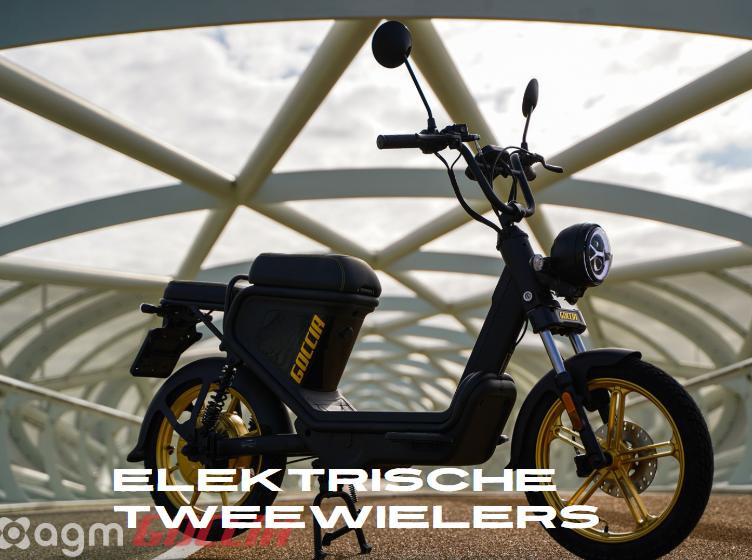 Elektrische Scooters